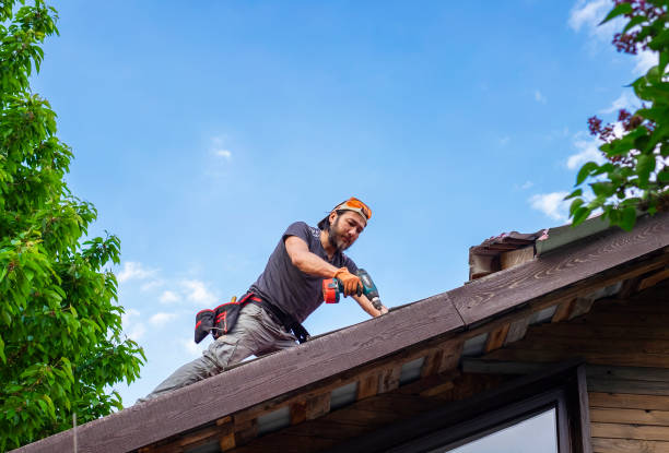  Miami, FL Roofing services Pros